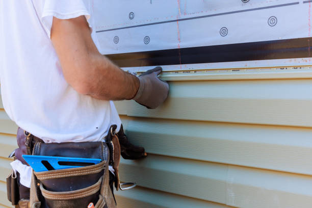 Affordable Vinyl Siding solutions in Hamilton, TX
